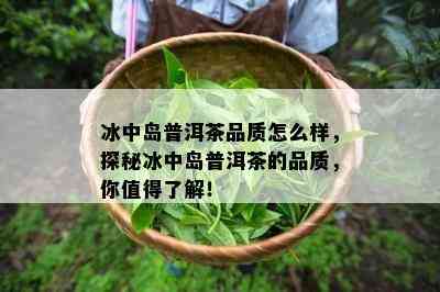 冰中岛普洱茶品质怎么样，探秘冰中岛普洱茶的品质，你值得了解！