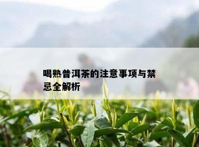 喝熟普洱茶的留意事项与禁忌全解析