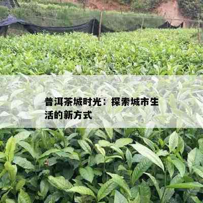 普洱茶城时光：探索城市生活的新方法