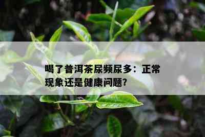 喝了普洱茶尿频尿多：正常现象还是健康问题？