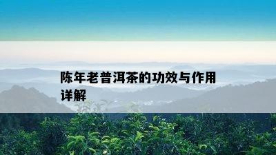 陈年老普洱茶的功效与作用详解