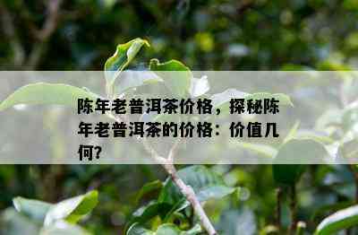 陈年老普洱茶价格，探秘陈年老普洱茶的价格：价值几何？