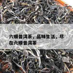 六顺普洱茶，品味生活，尽在六顺普洱茶