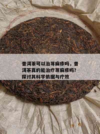 普洱茶可以治荨麻疹吗，普洱茶真的能治疗荨麻疹吗？探讨其科学依据与疗效