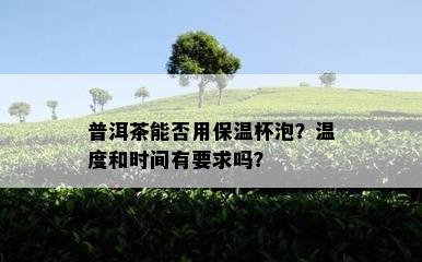 普洱茶能否用保温杯泡？温度和时间有要求吗？