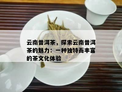 云南普洱茶，探索云南普洱茶的魅力：一种独特而丰富的茶文化体验