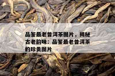 品鉴最老普洱茶图片，揭秘古老韵味：品鉴最老普洱茶的珍贵图片