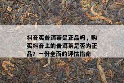 抖音买普洱茶是正品吗，购买抖音上的普洱茶是否为正品？一份全面的评估指南