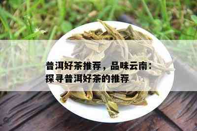 普洱好茶推荐，品味云南：探寻普洱好茶的推荐