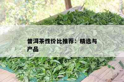 普洱茶性价比推荐：精选与产品