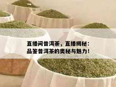 直播间普洱茶，直播揭秘：品鉴普洱茶的奥秘与魅力！