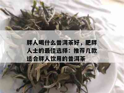 胖人喝什么普洱茶好，肥胖人士的更佳选择：推荐几款适合胖人饮用的普洱茶