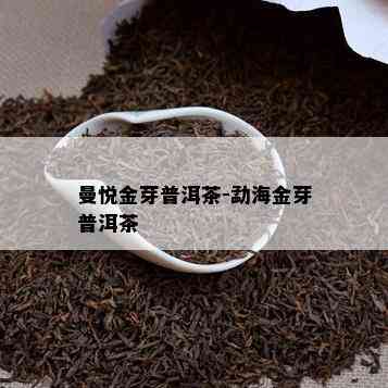 曼悦金芽普洱茶-勐海金芽普洱茶