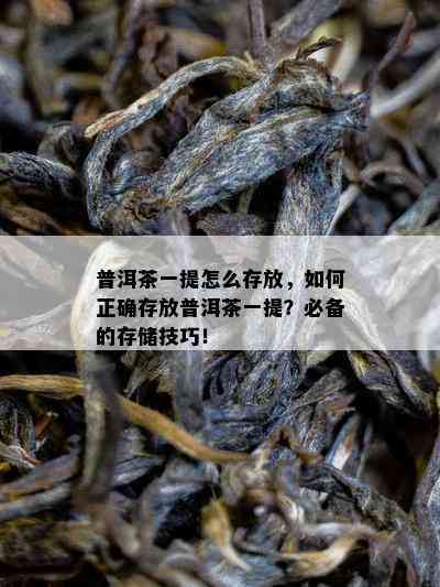 普洱茶一提怎么存放，怎样正确存放普洱茶一提？必备的存储技巧！