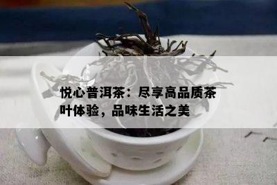 悦心普洱茶：尽享高品质茶叶体验，品味生活之美