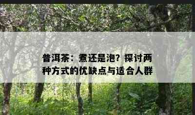 普洱茶：煮还是泡？探讨两种方法的优缺点与适合人群