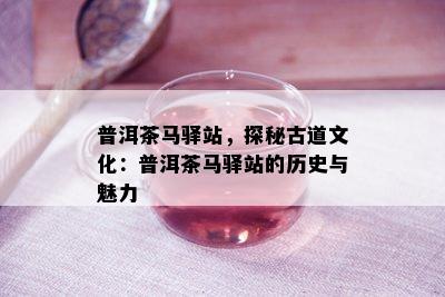 普洱茶马驿站，探秘古道文化：普洱茶马驿站的历史与魅力