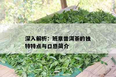 深入解析：班章普洱茶的独特特点与口感简介