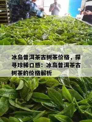 冰岛普洱茶古树茶价格，探寻珍稀口感：冰岛普洱茶古树茶的价格解析