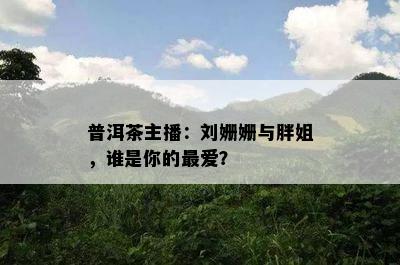 普洱茶主播：刘姗姗与胖姐，谁是你的更爱？