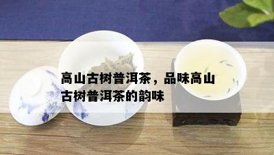 高山古树普洱茶，品味高山古树普洱茶的韵味