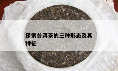 探索普洱茶的三种形态及其特征