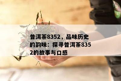 普洱茶8352，品味历史的韵味：探寻普洱茶8352的故事与口感