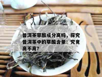 普洱茶草酸成分高吗，探究普洱茶中的草酸含量：究竟高不高？