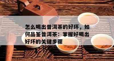 怎么喝出普洱茶的好坏，如何品鉴普洱茶：掌握好喝出好坏的关键步骤