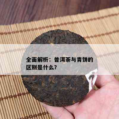 全面解析：普洱茶与青饼的区别是什么？