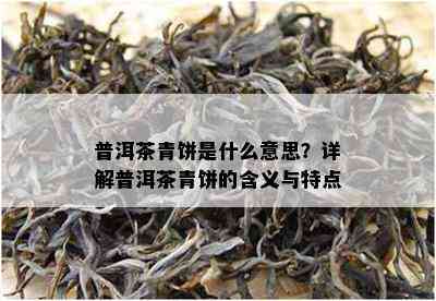 普洱茶青饼是什么意思？详解普洱茶青饼的含义与特点