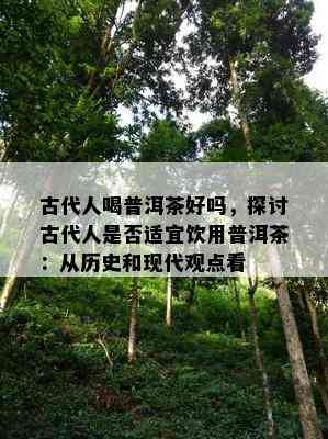 古代人喝普洱茶好吗，探讨古代人是不是适宜饮用普洱茶：从历史和现代观点看