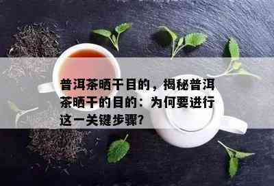 普洱茶晒干目的，揭秘普洱茶晒干的目的：为何要实施这一关键步骤？