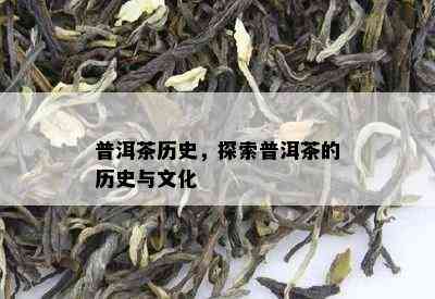 普洱茶历史，探索普洱茶的历史与文化