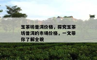 玉茶坊普洱价格，探究玉茶坊普洱的市场价格，一文带你了解全貌