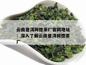 云南普洱同德茶厂官网地址：深入熟悉云南普洱同德茶厂