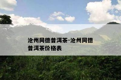 沧州同德普洱茶-沧州同德普洱茶价格表