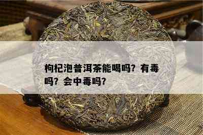 枸杞泡普洱茶能喝吗？有吗？会中吗？