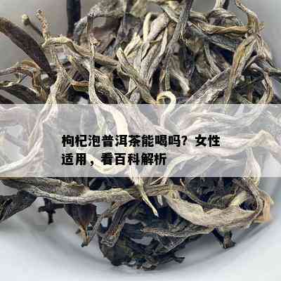 枸杞泡普洱茶能喝吗？女性适用，看百科解析