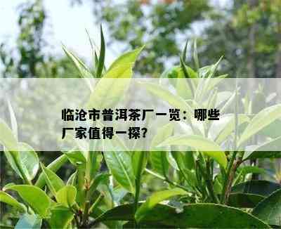 临沧市普洱茶厂一览：哪些厂家值得一探？