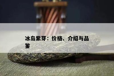 冰岛紫芽：价格、介绍与品鉴