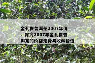 金孔雀普洱茶2007年价，探究2007年金孔雀普洱茶的价格走势与收藏价值