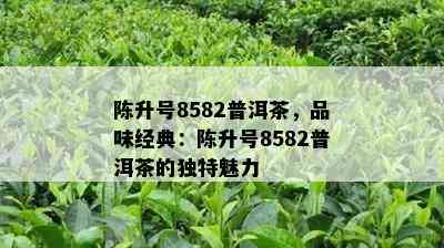 陈升号8582普洱茶，品味经典：陈升号8582普洱茶的特别魅力