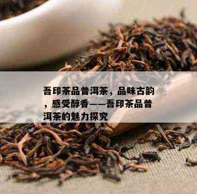 吾印茶品普洱茶，品味古韵，感受醇香——吾印茶品普洱茶的魅力探究