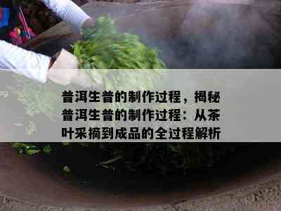 普洱生普的制作过程，揭秘普洱生普的制作过程：从茶叶采摘到成品的全过程解析