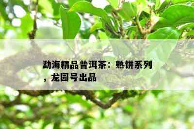 勐海精品普洱茶：熟饼系列，龙园号出品