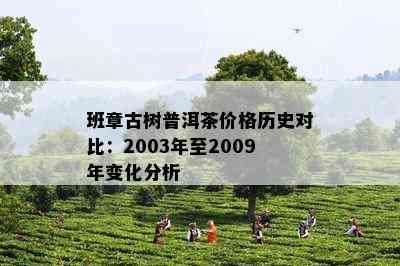 班章古树普洱茶价格历史对比：2003年至2009年变化分析