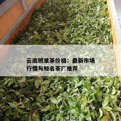 云南班章茶价格：最新市场行情与知名茶厂推荐