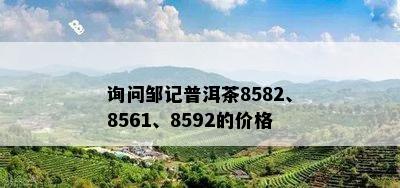 询问邹记普洱茶8582、8561、8592的价格