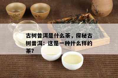 古树普洱是什么茶，探秘古树普洱：这是一种什么样的茶？